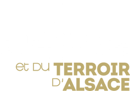 Talents Gastronomie Terroir d'Alsace - logo - fond noir.png